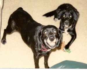 Playing with my puppy!