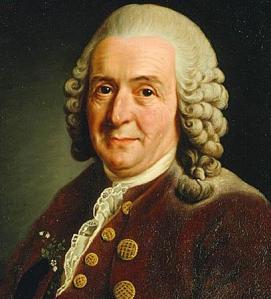linnaeus Linnaeus