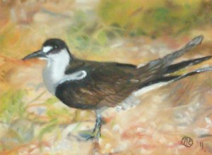 IMG00065-20110913-1144 cropped