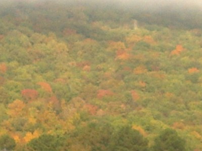 Fall leaves mountain
