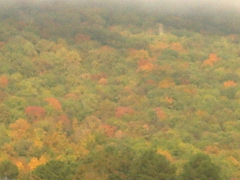 Fall leaves mountain