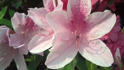 2013-04-17_07-58-36_512