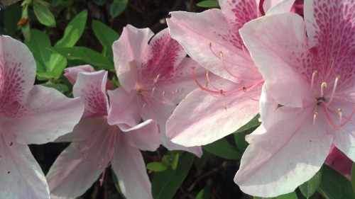 2013-04-17_07-58-41_412