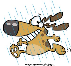 Tyra Running from the Rain Photo Credit: www.clickartonline.com