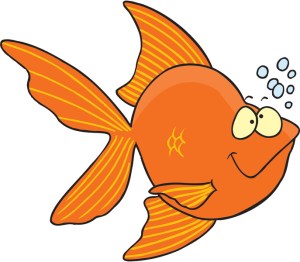 Goldfish
